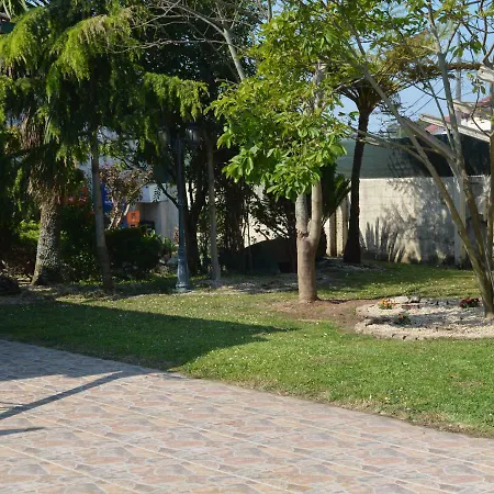 Casa Alonso 招待所 3*
