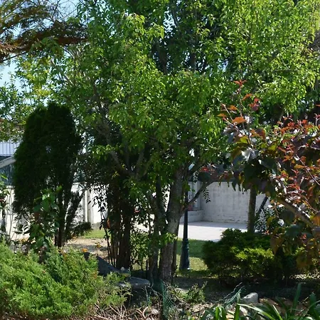 Πανσιόν Casa Alonso Narón